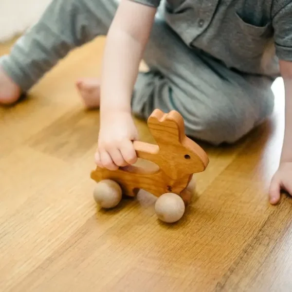 Bunny Push Wooden Baby and Kids Toy - Image 2