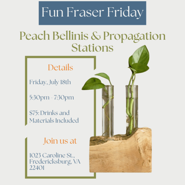 July Fun Fraser Friday Poster